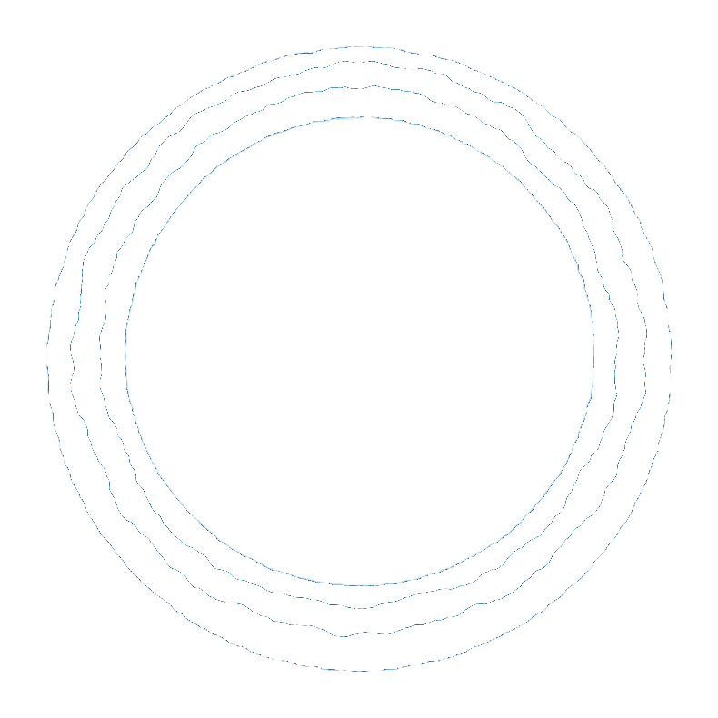 Blue Ring Group